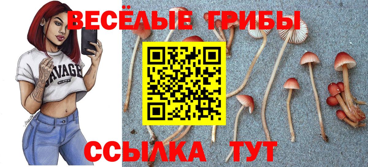 Псилоцибиновые грибы MAGIC MUSHROOMS Кыштым