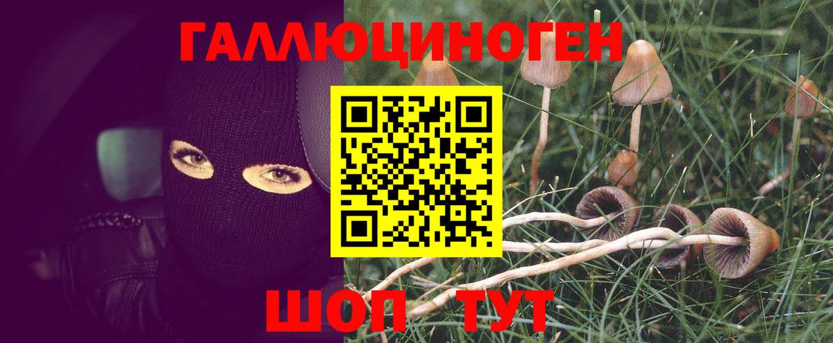 Кыштым  Псилоцибиновые грибы ЛСД  Вход с VPN 